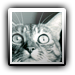 Avatar de airv36