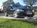 CS 200CDI Chrome Woodje 08